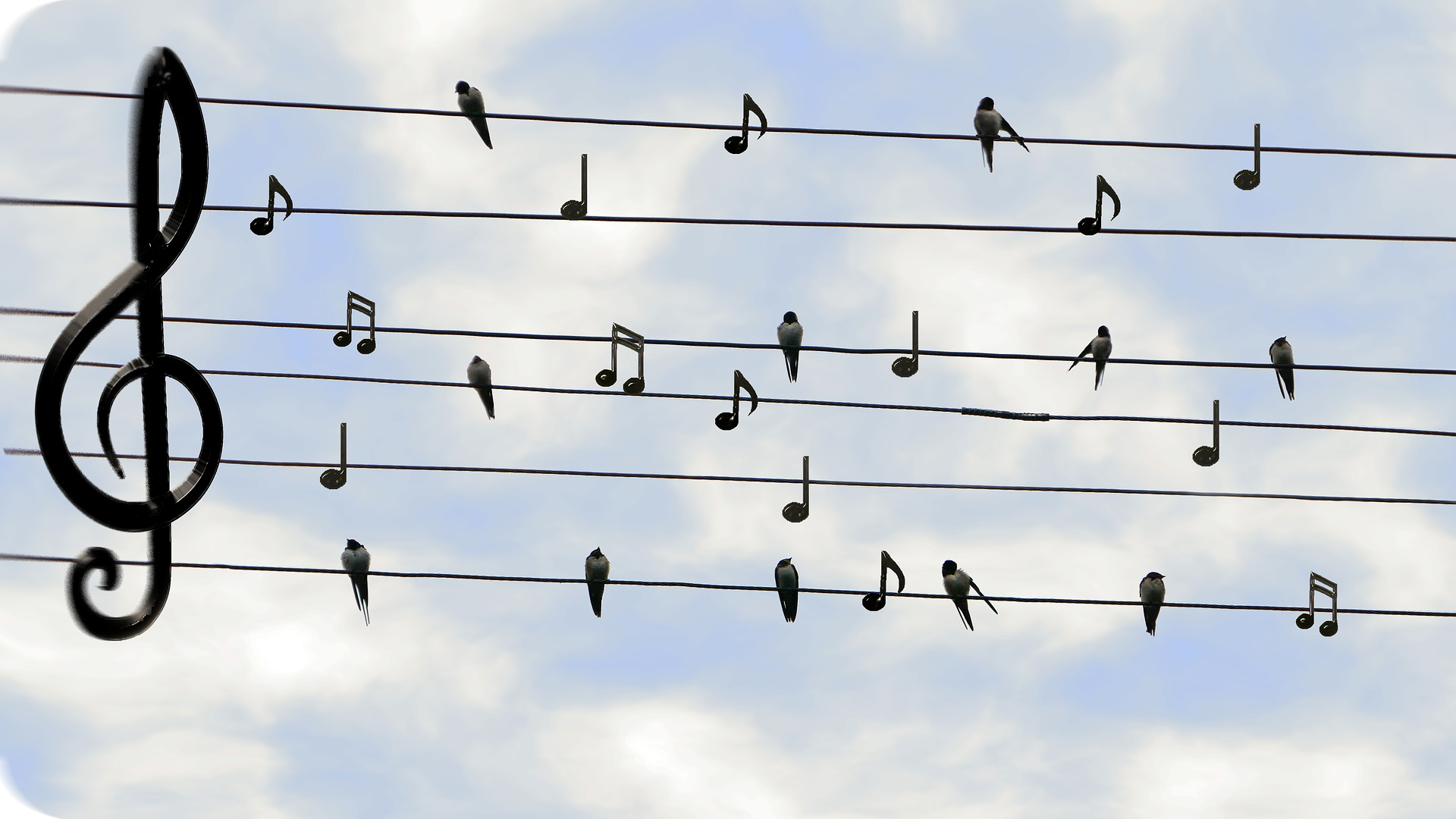 a-qui-s-adrese-ce-livre a qui s'adresse ce livre